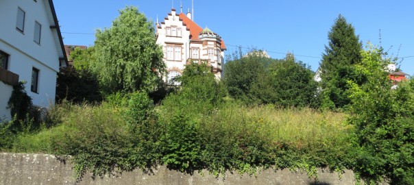 Bauplatz Neuffen Objekt-KI-201436