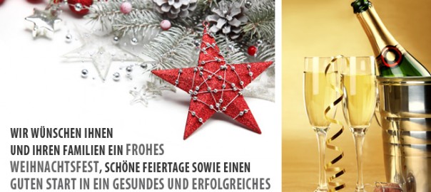 Weihnachten - Neujahr 2016